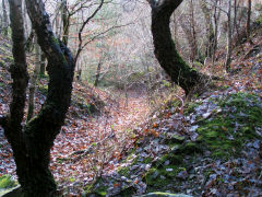 Jamesville quarry incline top, Cwmcarn, December 2008